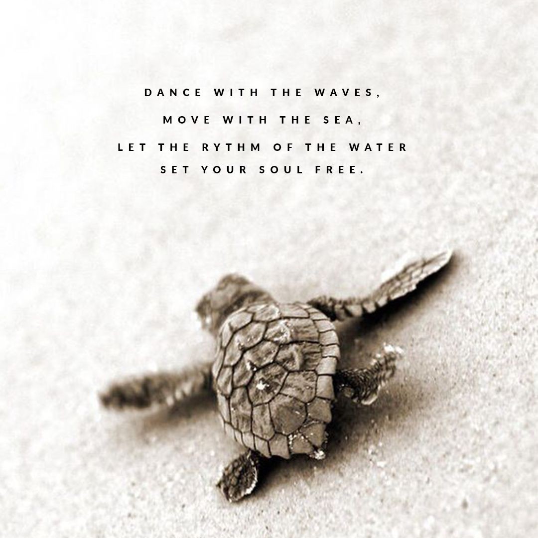 Let the rythm of the water set your soul free